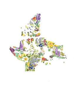 Sarah Duggan Creative Works -- Nunavut

Wildflowers